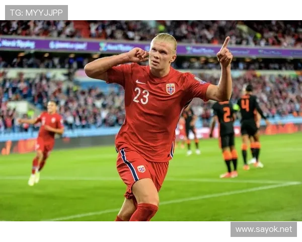 哈兰德点球专家 本赛季主罚命中率保持百分百